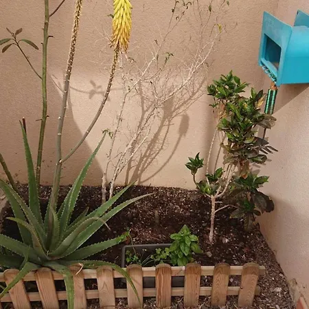 Apartamento En La Tejita-el Medano. Familia Vilmar